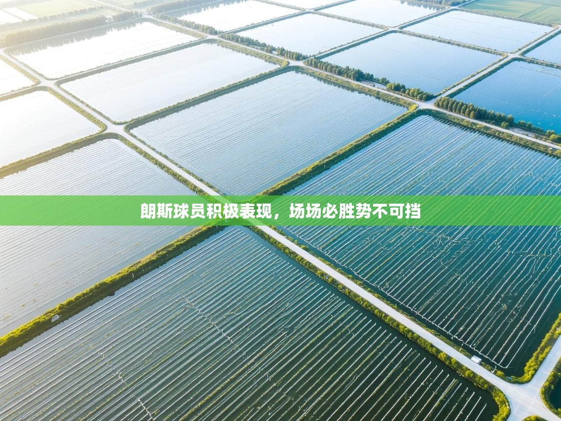 朗斯球员积极表现，场场必胜势不可挡