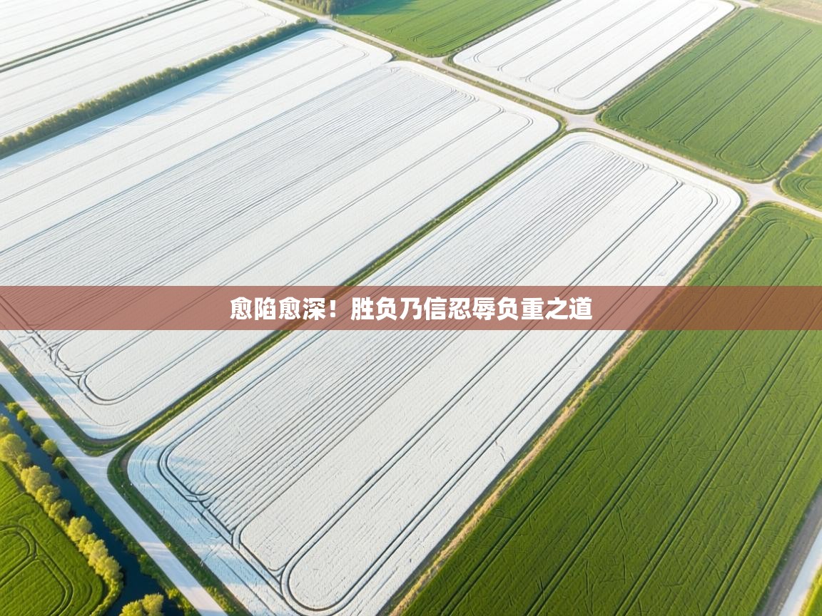 愈陷愈深！胜负乃信忍辱负重之道