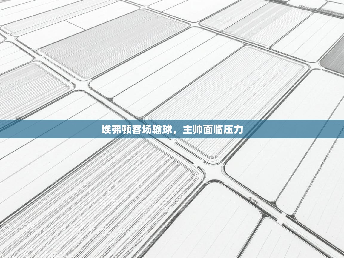 埃弗顿客场输球，主帅面临压力