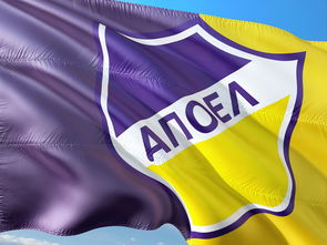 开云体育h5-阿维斯客场勇夺三分，迎来连胜